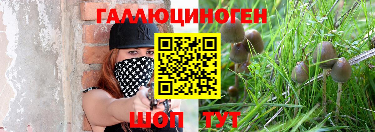 Галлюциногенные грибы Magic Shrooms Владикавказ