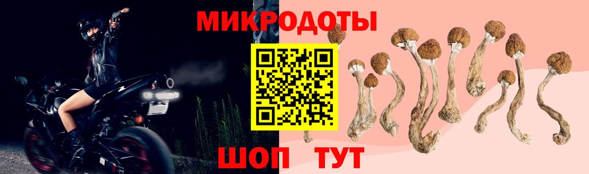 Псилоцибиновые грибы Psilocybine cubensis  Псилоцибиновые грибы MAGIC MUSHROOMS  Вход с VPN  Владикавказ 